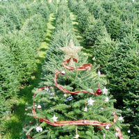 Christmas Tree Farm Candle