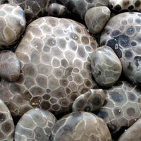 Petoskey Stone Hand Wash