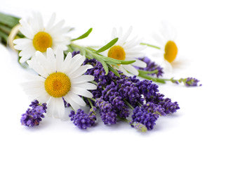 Lavender and Chamomile Soy Candle