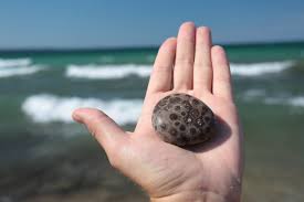 Petoskey Stone Hand Wash