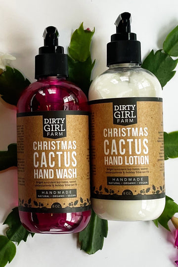 Christmas Cactus Set