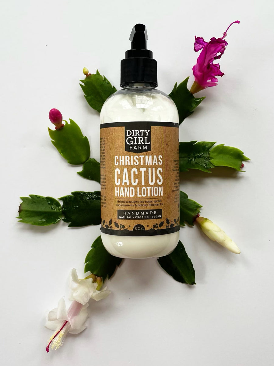 Christmas Cactus Lotion