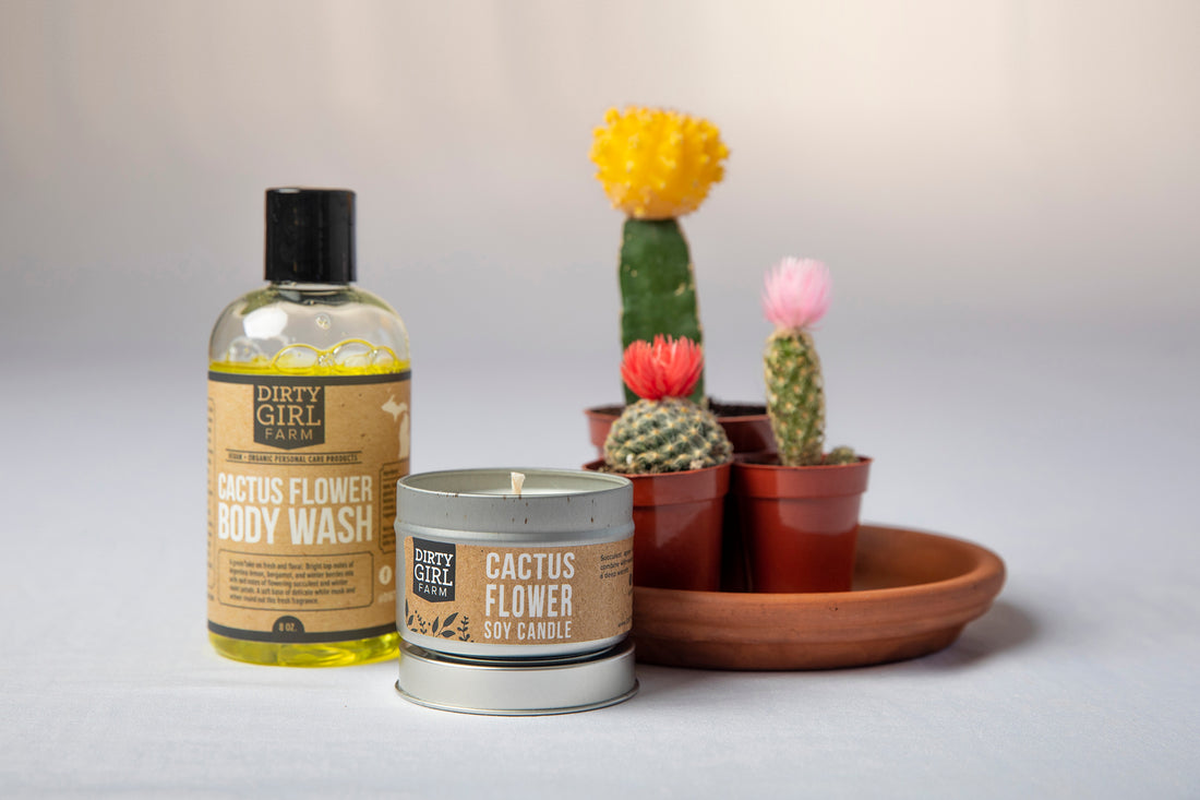 Cactus Flower Soy Candle